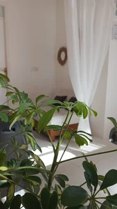 آموزشگاه و مرکز ماساژ مسیح