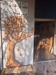 منبت کاری جوازی 2