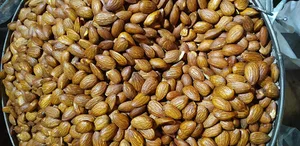 خشکبار البرز