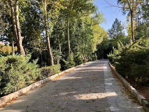 بوستان میرزا کوچک خان جنگلی