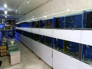 خانه ماهی