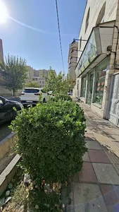 املاک ایوبی