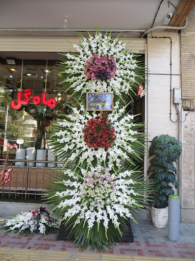 ماه گل