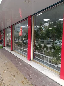 گل فروشی یاس 3