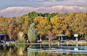 داروخانه دکتر کریم زاده