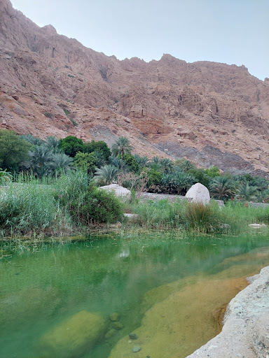 وادي طيوي