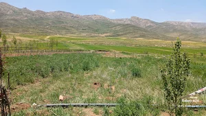 چهار محال بختیاری. ناغان