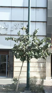 تالار پذیرایی گنو 2