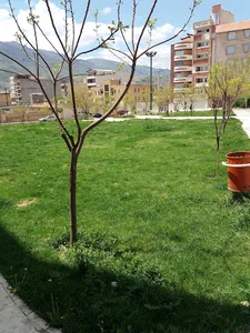 فضای سبز