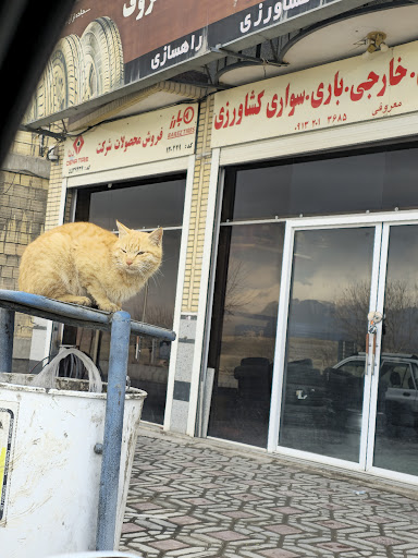 رزوه