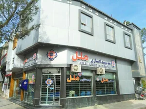 موسسه اعتباری ملل
