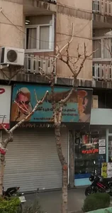 عینک نادر 5