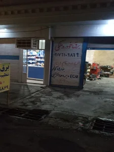 برق خودروملکی
