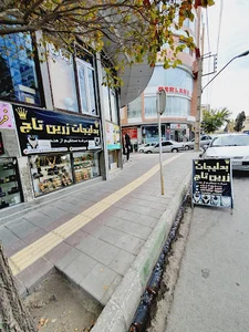 بدلیجات زرین تاج