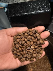 برشته کاری تخصصی قهوه‌ اِلف 5