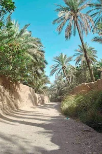 بريد حمدان