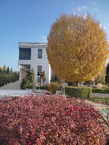 Velayat Welfare Cultural Center