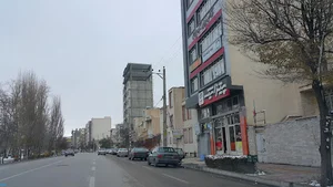 پیتزا نیک