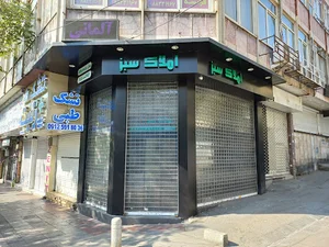 املاک سبز