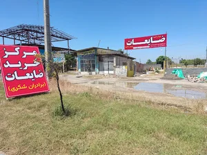ضایعات برادران شکری