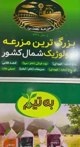 مزرعه نعمتی 4
