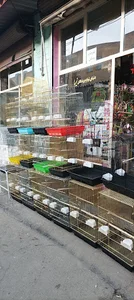دنیای لوازم پرندگان بهزاد