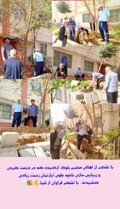 آپارتمان ارکیده