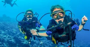bluestardiving مرکز غواصی ستاره ابی