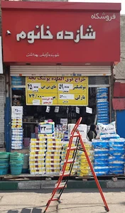 فروشگاه شازده خانوم (شوینده بهداشتی)