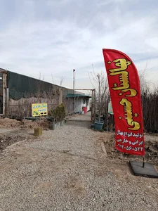 نهالستان مهندس حسینی(تولید و پرورش انواع نهال میوه ایرانی و خارجی)