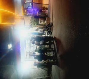 کافه مسی برگر 5