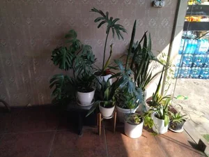 کترینگ آشپزخانه میزبان 2
