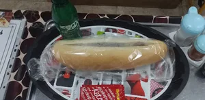 اغذیه خرس سفید