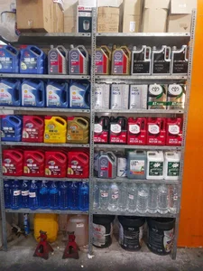 خدمات خودرویی ملل کارواش 2