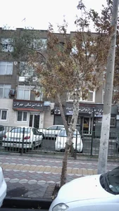 دکتر مختار رفیعی 3