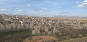 یال آردی