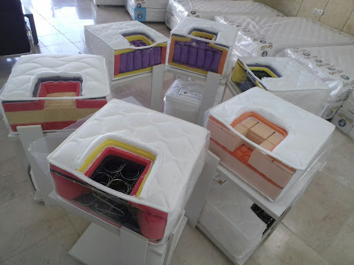 تشک رویا دکتر تشک
