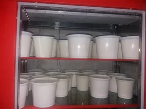 لبنیات شجاع