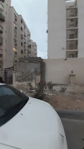 مجتمع عرش گستر
