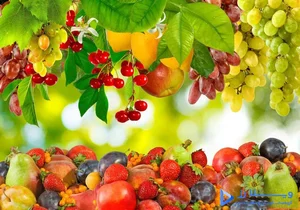 باغ میوه