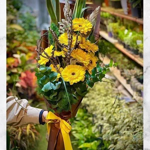 باغ گل