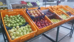 سوپر میوه زیتون 2