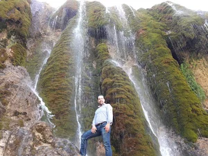 گلبرگ چوب