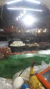 میوه وتره باررنگارنگ شعبانی 3
