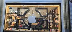فانتزی کیس