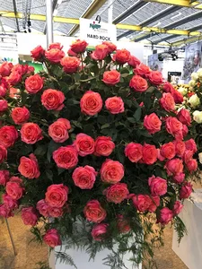 گل فروشی شهناز