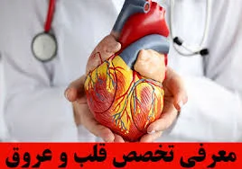 دکتر سیده ندا هاشمی