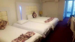 هتل بلوط تهران 5