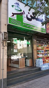املاک امیر