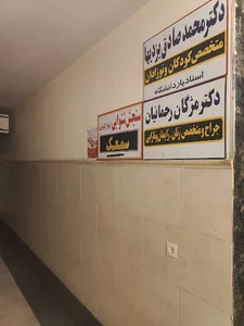 سید صادق حسینی